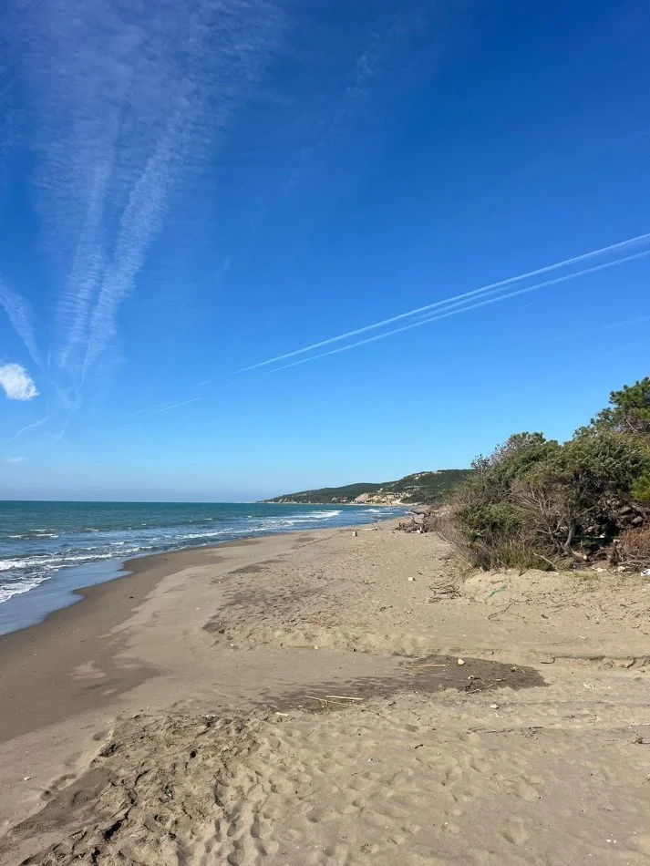 Spille, shitet toke , 4.200 m² (Spille)