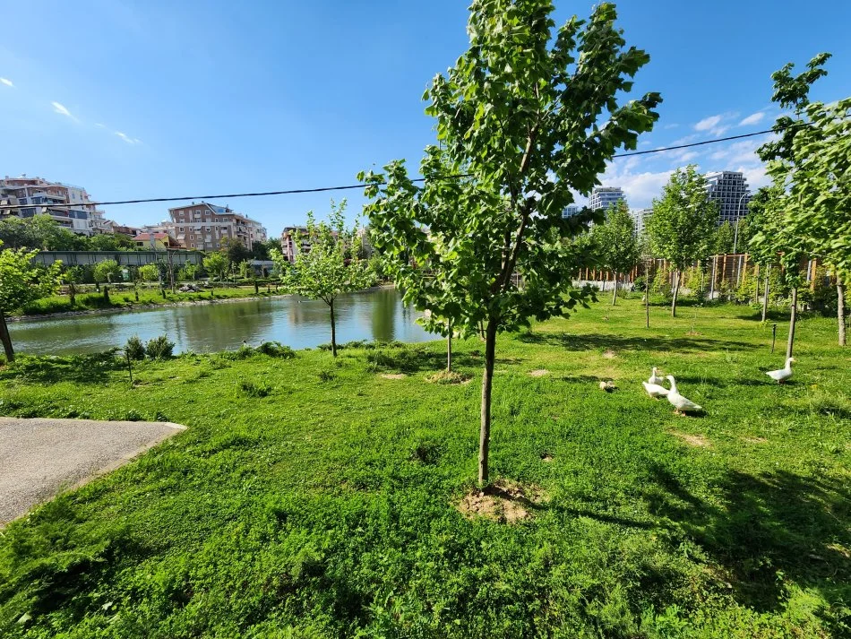 Jepet me Qira: 1+1+ Ballkon || 📍 Liqeni Artificial, Vija e Pare Pallati Swan || 650 euro/ muaj