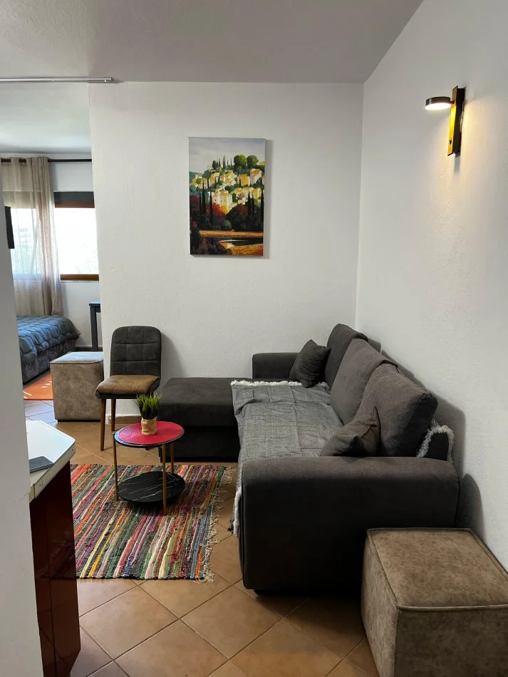 Tirane, jepet me qera apartament 1+1 Kati 3, 48 m² 450 € (Rruga 5 Maji)