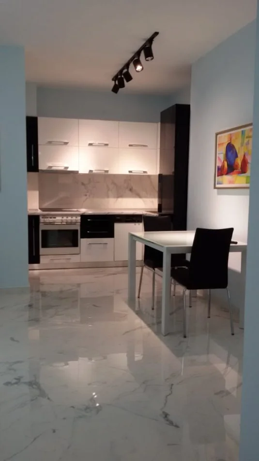 Tirane, jepet me qera apartament 1+1 Kati 2, 65 m² 600 € (liqeni i thate)