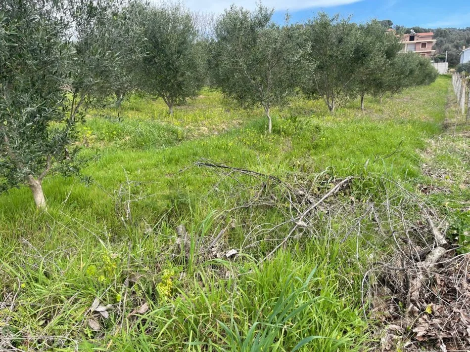 Durres, shitet toke bujqesore , 2.000 m² 120.000 € (Manez)