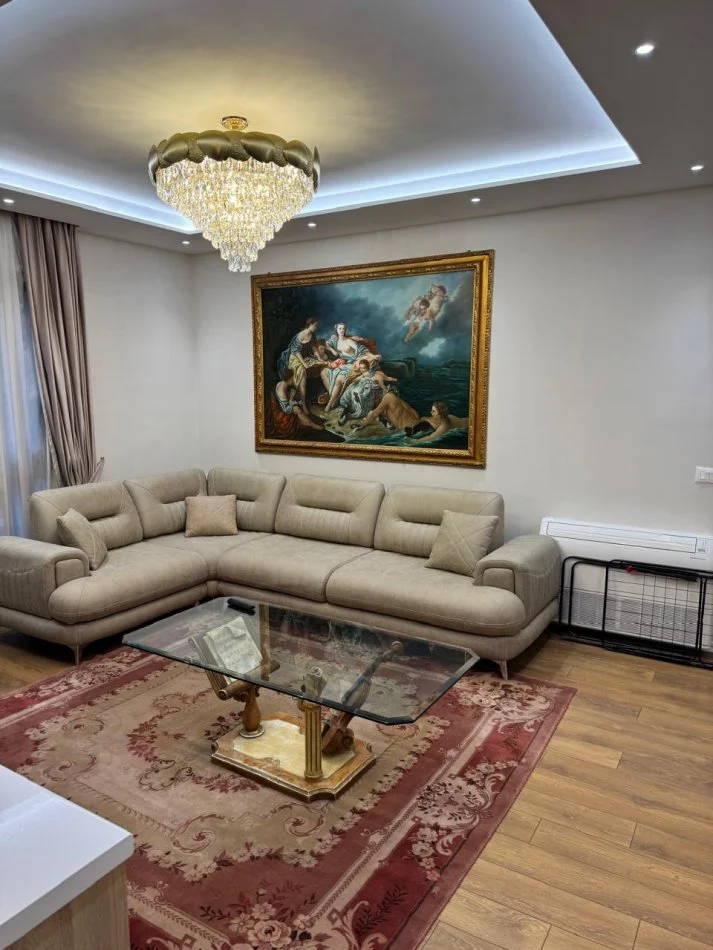 APARTAMENT  1+1   750 €  LIQENI ARTIFICIAL