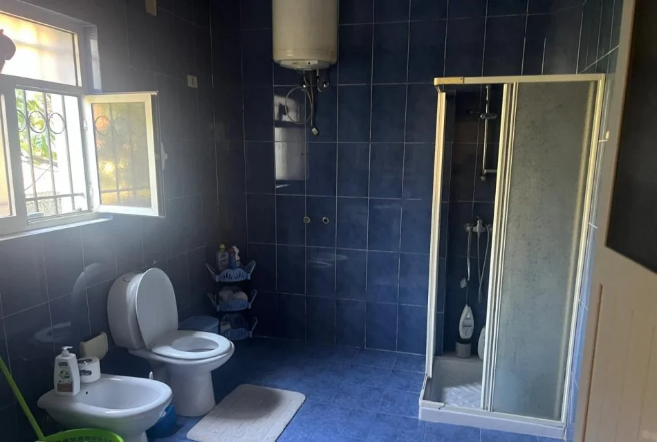 Tirane, jap me qera apartament 1+1+Ballkon Kati 1, 85 m² 360 € (Gjergj Legisi)