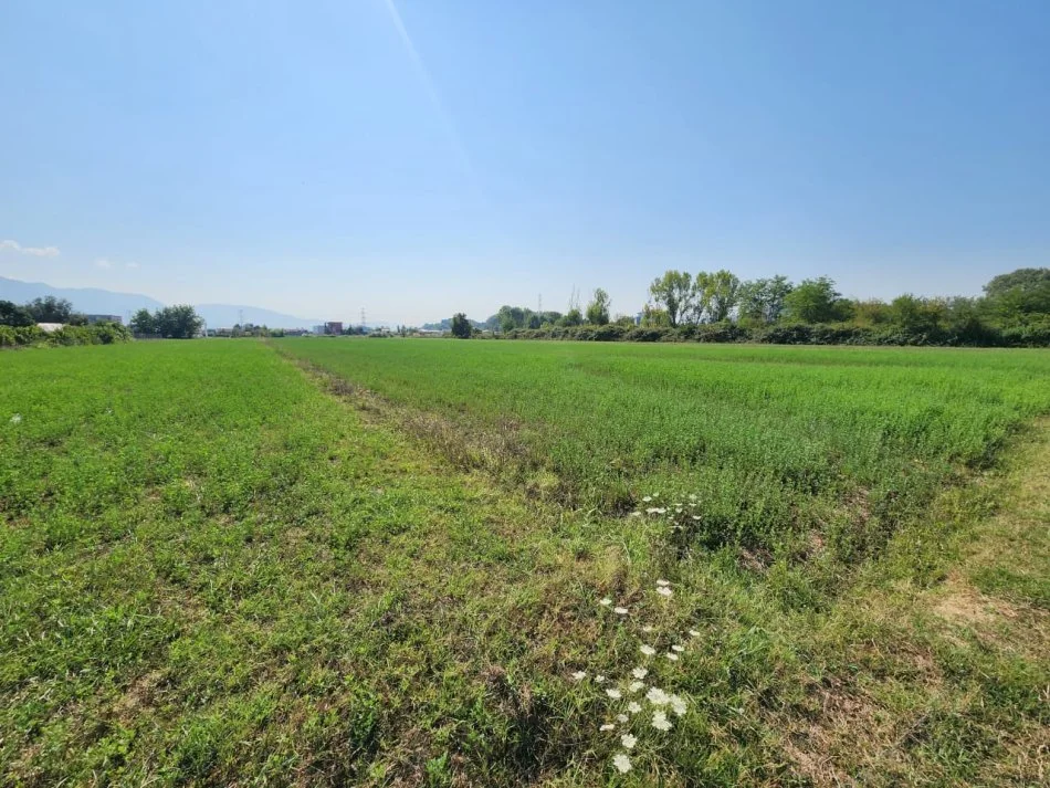 🟤 Shitet Tokë 3500m² Pas Megatek 🏬 ( Autostrada - Tiranë - Durrës 📍) (( 165,000€ 🔥 )) - Vendodhje Strategjike 🟢