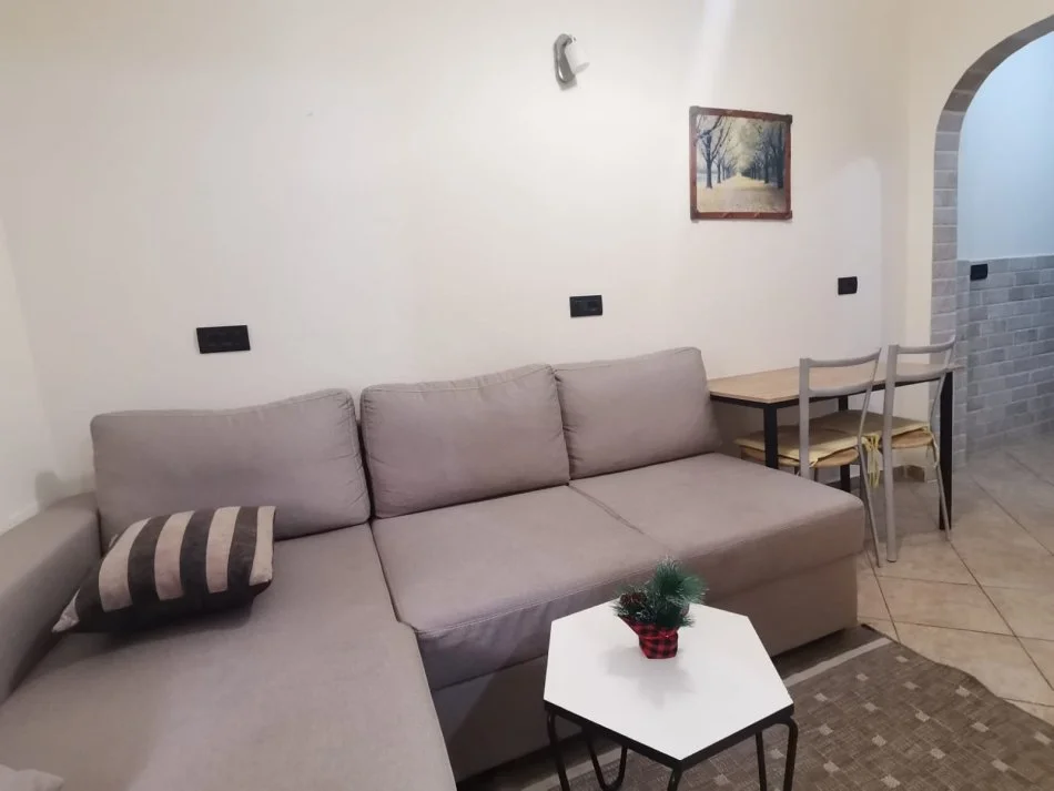 Tirane, jepet me qera apartament 1+1 Kati 2, 50 m² 450 € (rruga 5 maji)
