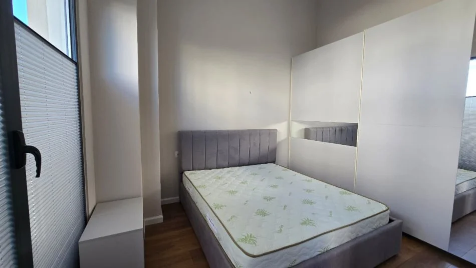 Tirane, jepet me qera apartament 1+1+Ballkon Kati 0, 60 m²  (Liqeni i Thate)