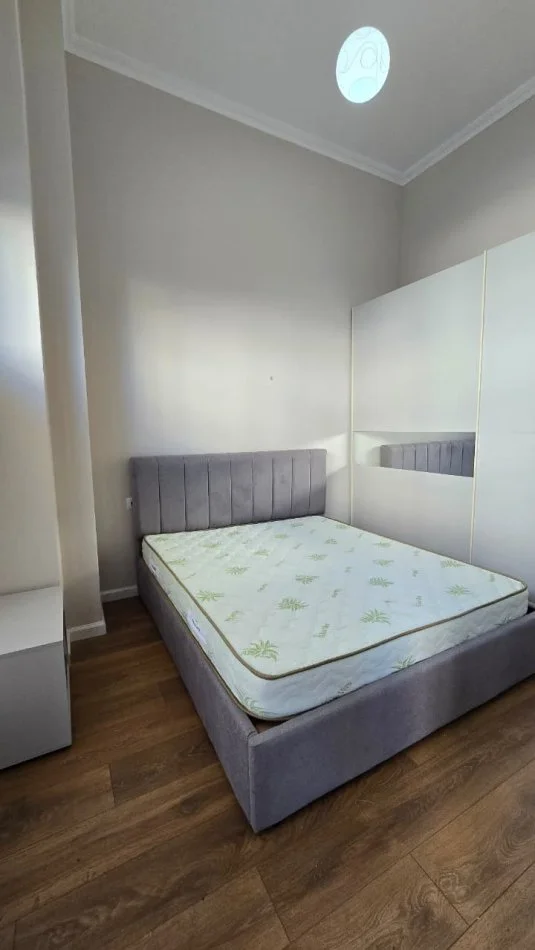 Tirane, jepet me qera apartament 1+1+Ballkon Kati 0, 60 m²  (Liqeni i Thate)