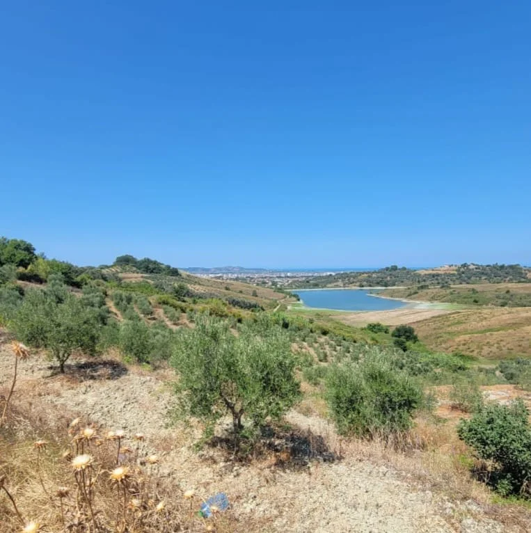 Momel, shitet toke bujqesore , 12.214 m² 61070 € (Momel,Kavaje)