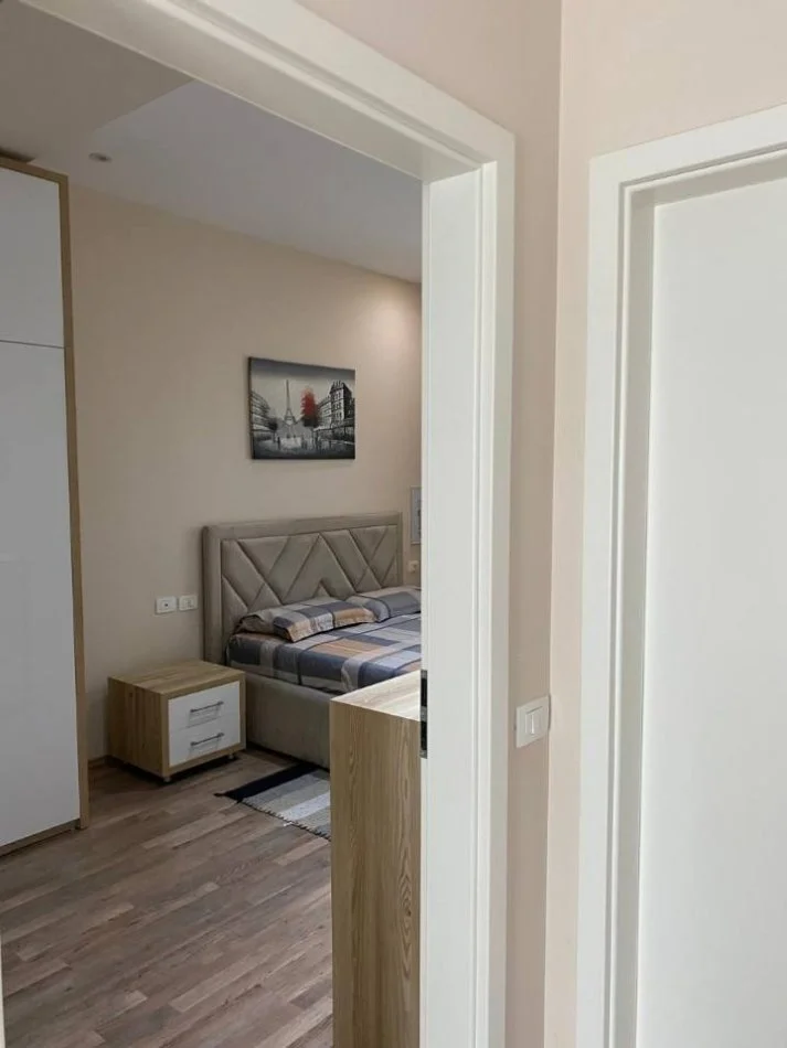 Tirane, jepet me qera 2+1+Ballkon , 85 m² 550 € (Ali Demi)