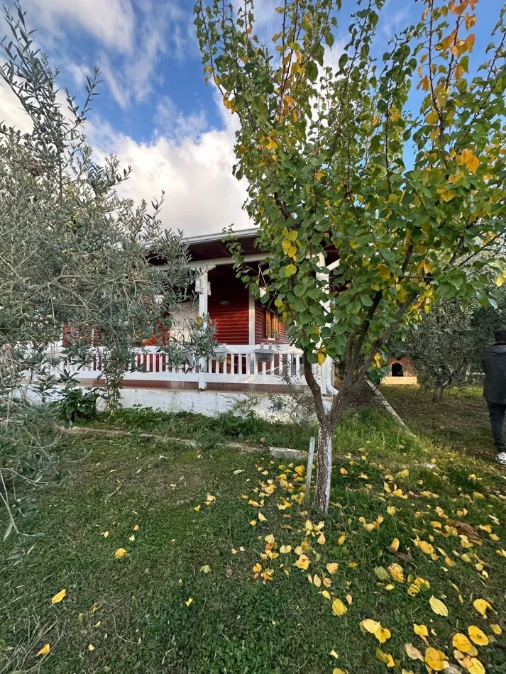 Tirane, shitet ferme+shtepi druri e investuar , 14.500 m² 870.000 € (GURRE E MADHE)