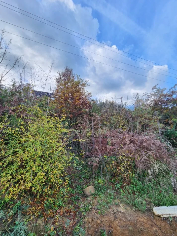 🌍 SHITET: Tokë Arë 604 m² Brenda në Fshat me Pamje nga Pylli & Lumi📍Në Fshatin IBË  39.200€ 🏕