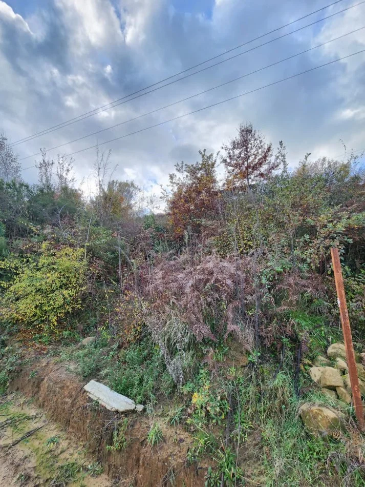 🌍 SHITET: Tokë Arë 604 m² Brenda në Fshat me Pamje nga Pylli & Lumi📍Në Fshatin IBË  39.200€ 🏕