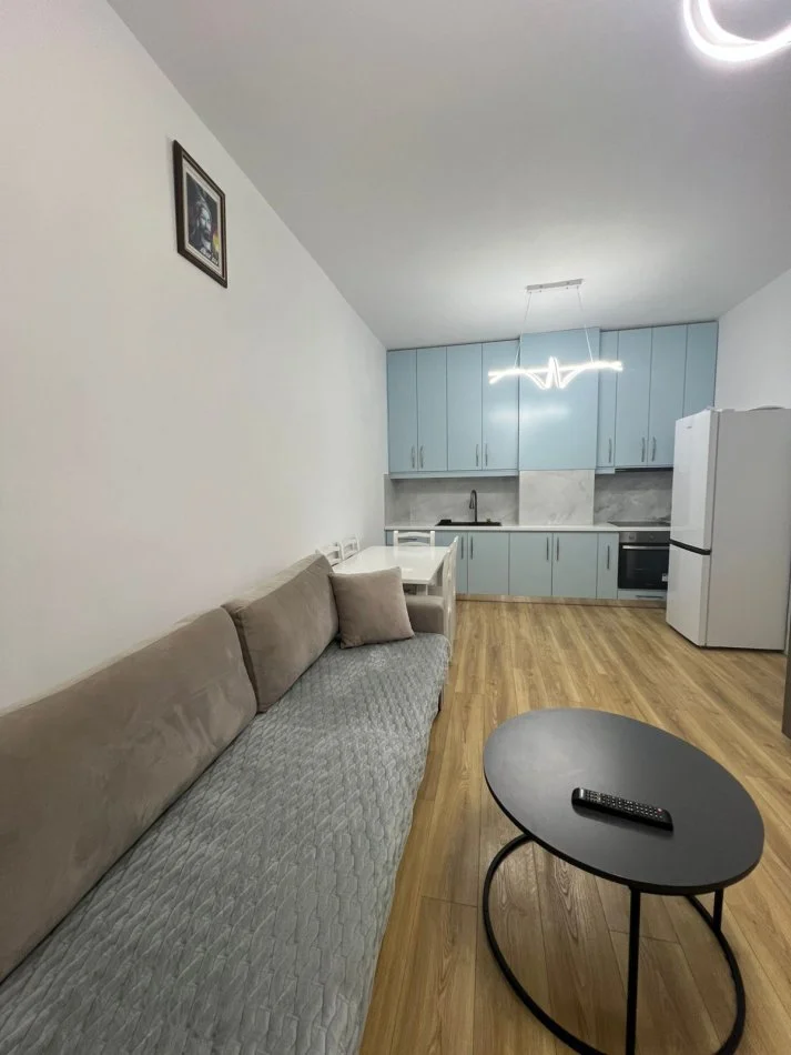 Tirane, jepet me qera apartament 1+1 , 