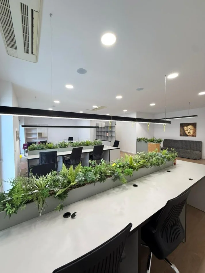 Tirane, jepet me qera ambjent biznesi Kati 4, 180 m² 3.000 € (Rruga e Kavajes)