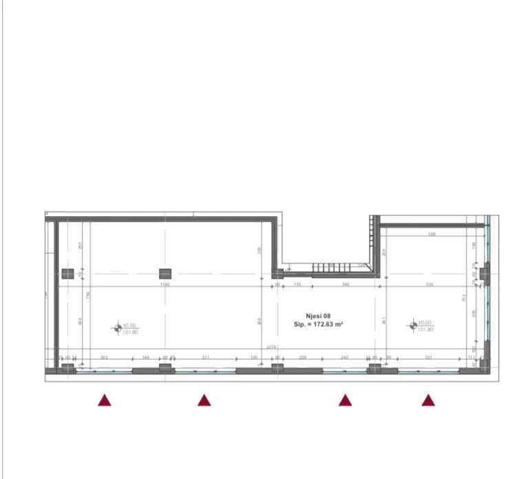 Tirane, shitet ambjent biznesi Kati 0, 173 m² 725.000 € (ALI DEMI)