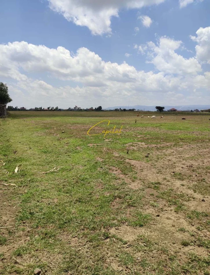 Tirane, shitet toke , 1.500 m² (MULLET)