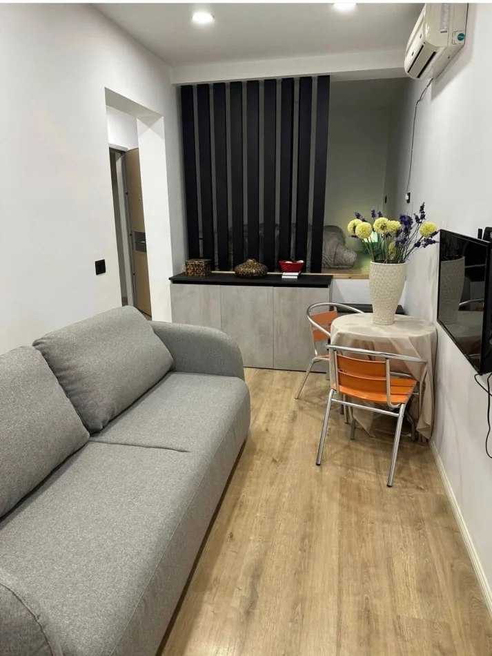 JEPET ME QERA APARTAMENT 1+1 TEK  ISH TREGU ELEKTRIK NE ALI DEM,  450 Euro