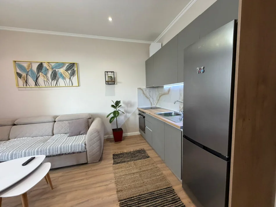 Tirane, jepet me qera apartament 1+1 Kati 3, 