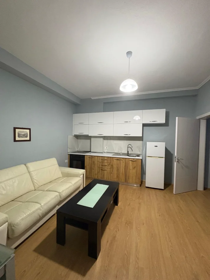 Tirane, jepet me qera apartament 1+1 Kati 2, 65 m² 450 € (ALI DEMI)