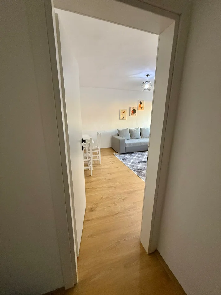 Tirane, jepet me qera apartament 1+1 Kati 2, 65 m² 500 € 