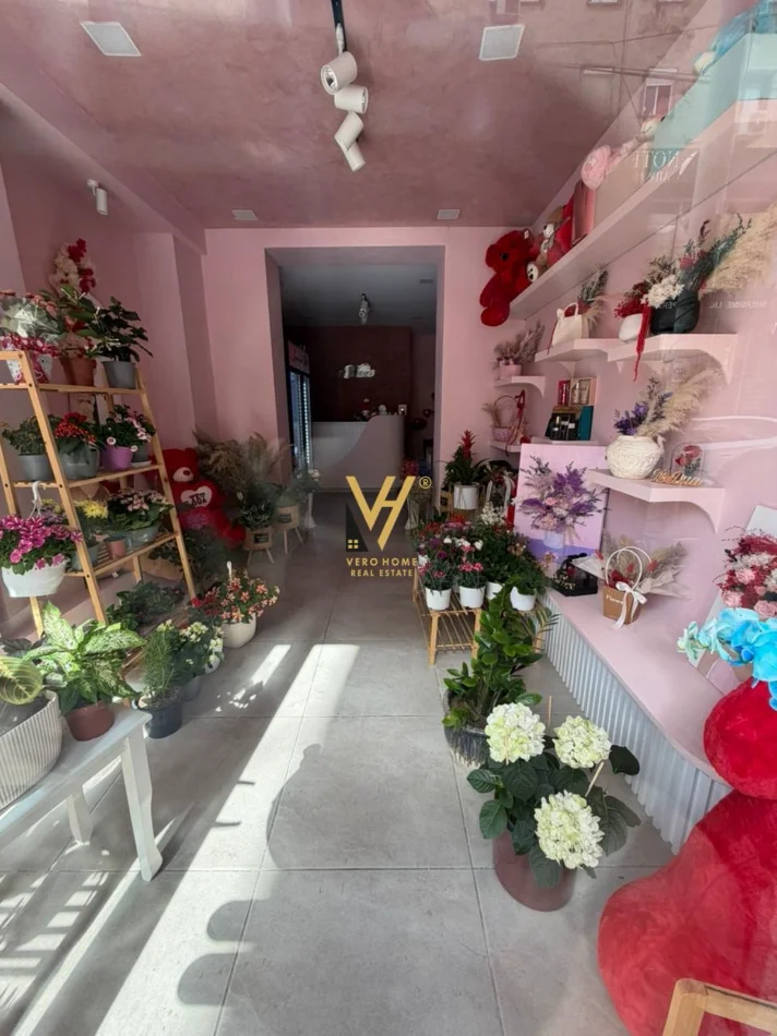 Tirane, jepet me qera ambjent biznesi Kati 0, 31 m² 620 € (MINE PEZA)