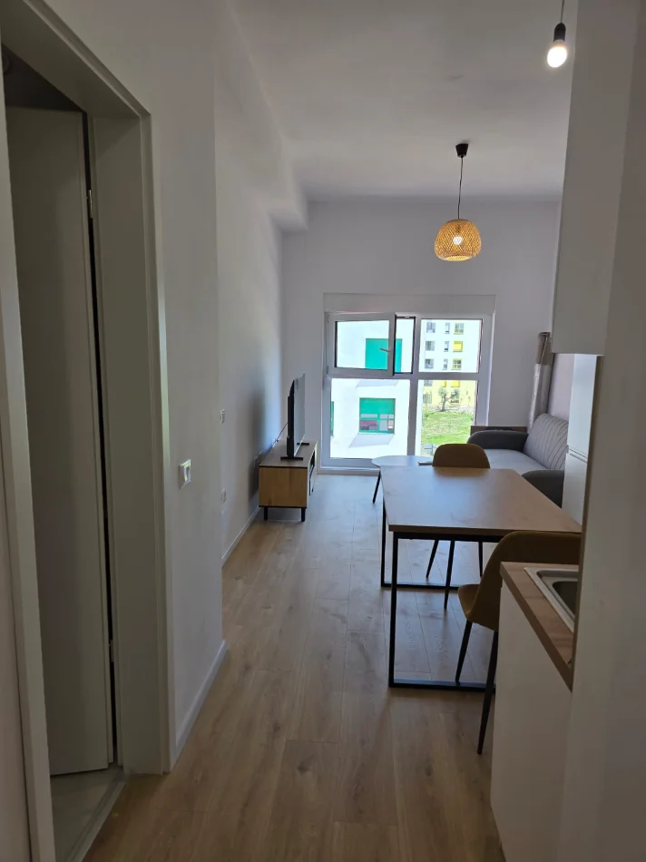 Tirane, jepet me qera 1+1 Kati 7, 420 € (Rruga Pasho Hysa)
