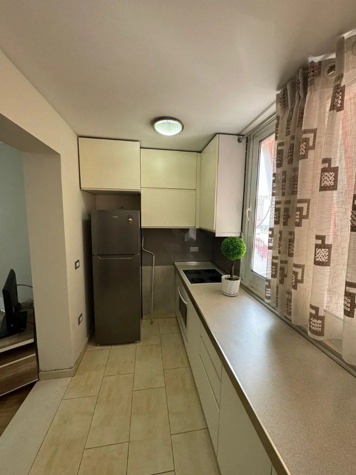 Tirane, jepet me qera apartament 1+1 Kati 4, 450 € (vasil shanto)