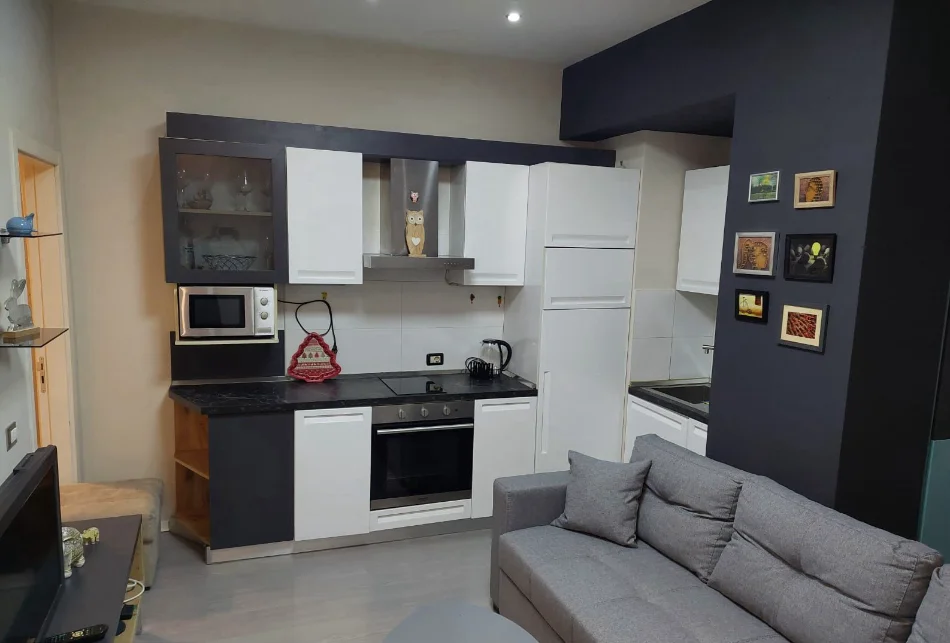 Tirane, jepet me qera apartament 1+1 Kati 1, 60 m² 600 € (RRUGA E ELBASANIT)