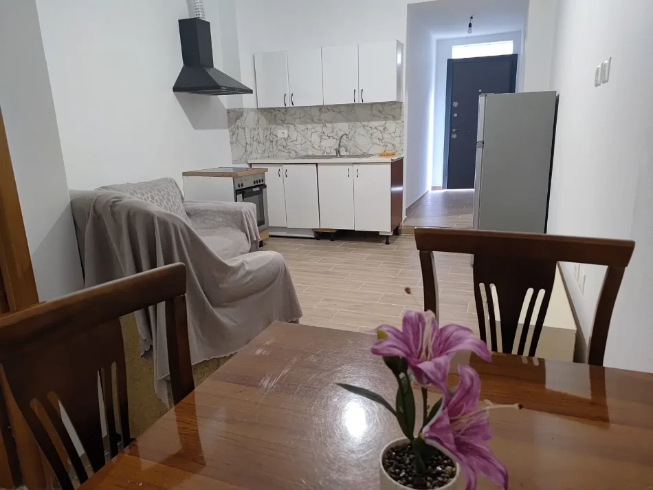 Tirane, jepet me qera 1+1 Kati 1, 300 € (Ura e Institutit,prane karburant Daku 1)