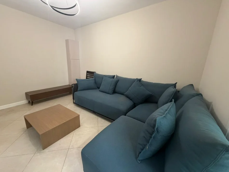Tirane, jepet me qera apartament 2+1 Kati 1, (RRUGA E ELBASANIT)