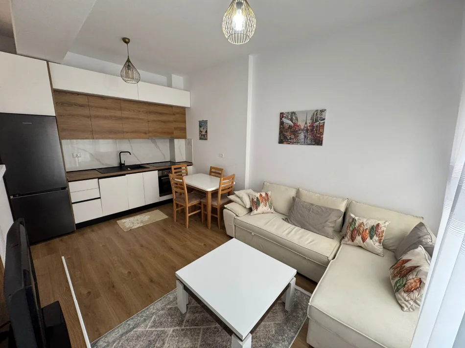 Tirane, jepet me qera apartament 1+1 Kati 2, (Ali Demi)