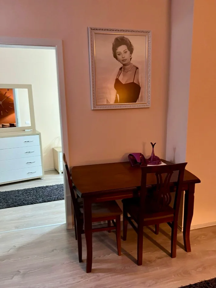 Tirane, jepet me qera apartament 1+1 Kati 4, (21 dhjetori)