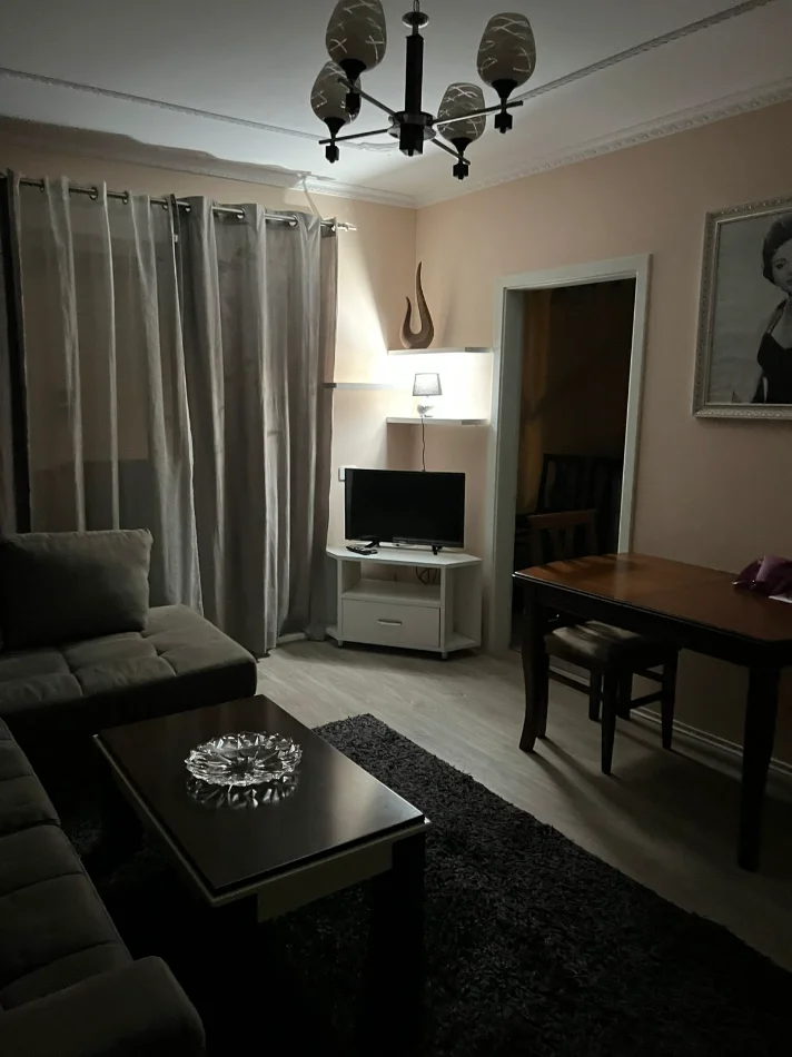 Tirane, jepet me qera apartament 1+1 Kati 4, (21 dhjetori)