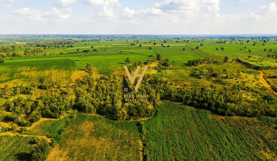Tirane, shitet truall , 5.000 m² (TEG)