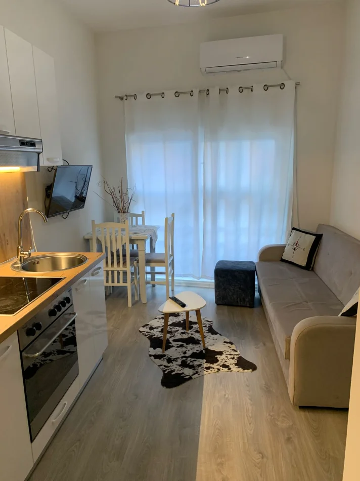 Tirane, jepet me qera apartament 1+1 Kati 5, 370 € (Ali Demi)
