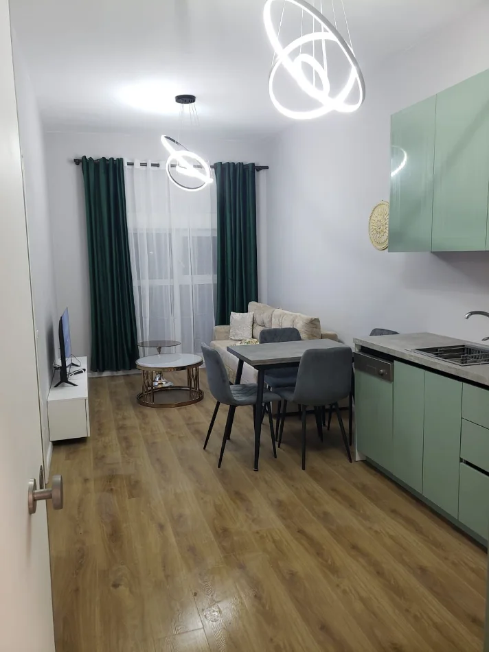 Tirane, jepet me qera apartament 1+1 Kati 2, (Ali Demi)