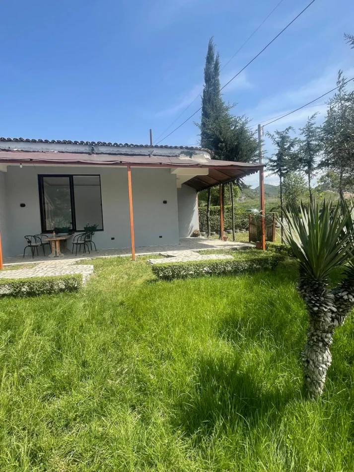 Tirane, jepet me qera ambjent biznesi Kati 0, 50 m² (Peze-Helmes,Tirane)