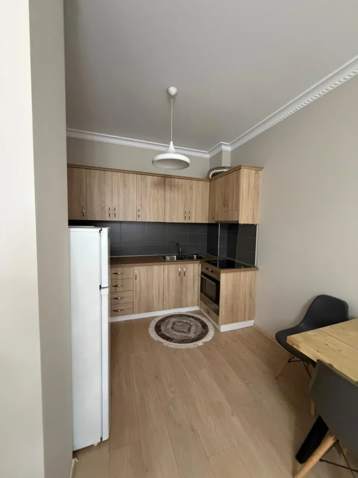 Tirane, jap me qera apartament 1+1 Kati 2, 56 m² 650 € (alidemi)