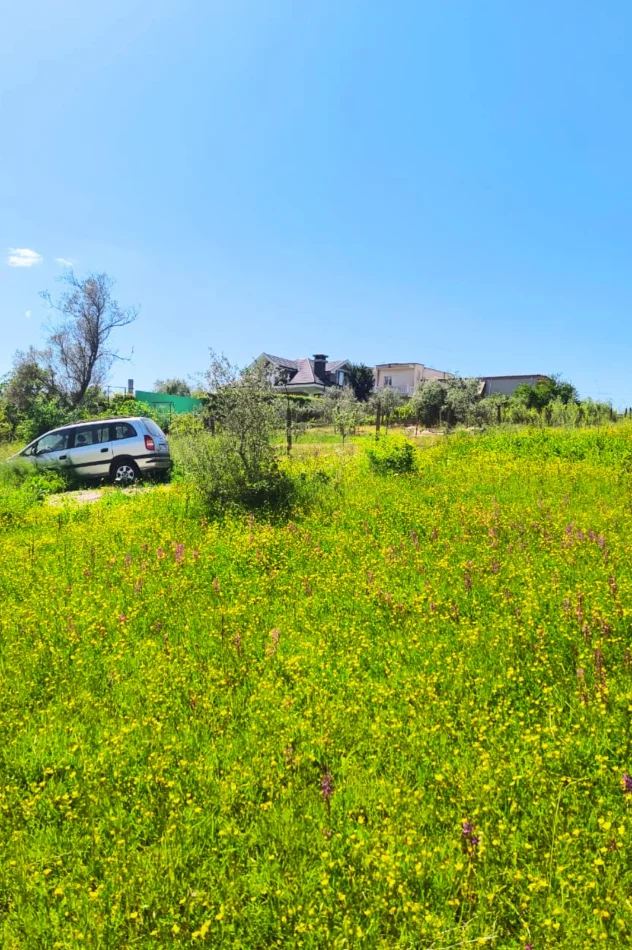 Shqiperi, shitet toke , 2.300 m² (Kashar)