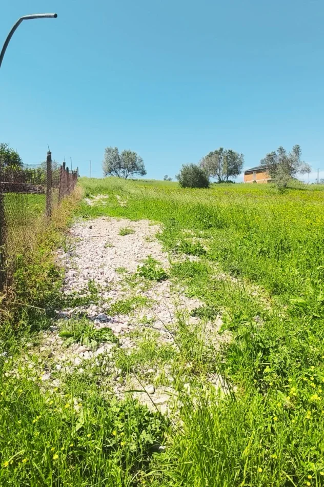 Shqiperi, shitet toke , 2.300 m² (Kashar)