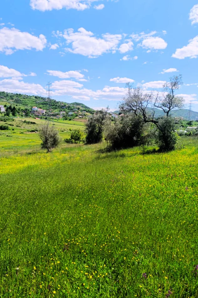 Shqiperi, shitet toke , 2.300 m² (Kashar)