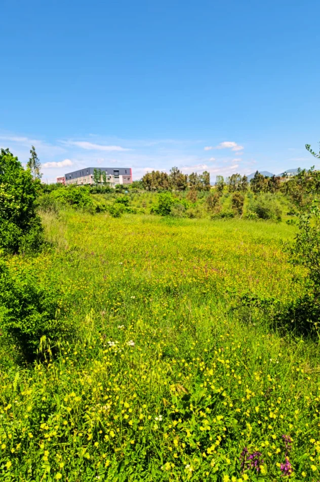 Shqiperi, shitet toke , 2.300 m² (Kashar)