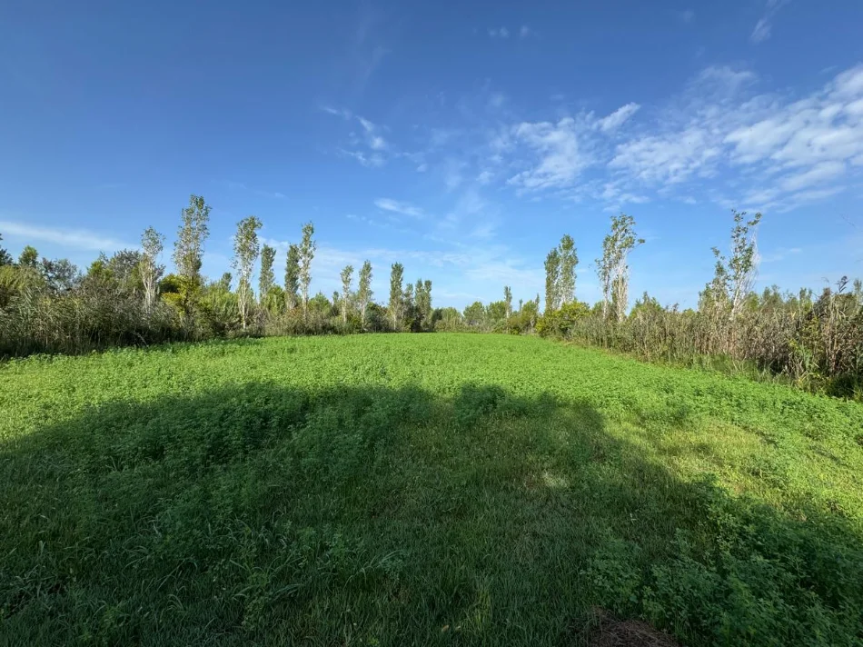 SHITET TRUALL NE PATOK   3.800 m² 570.000 €