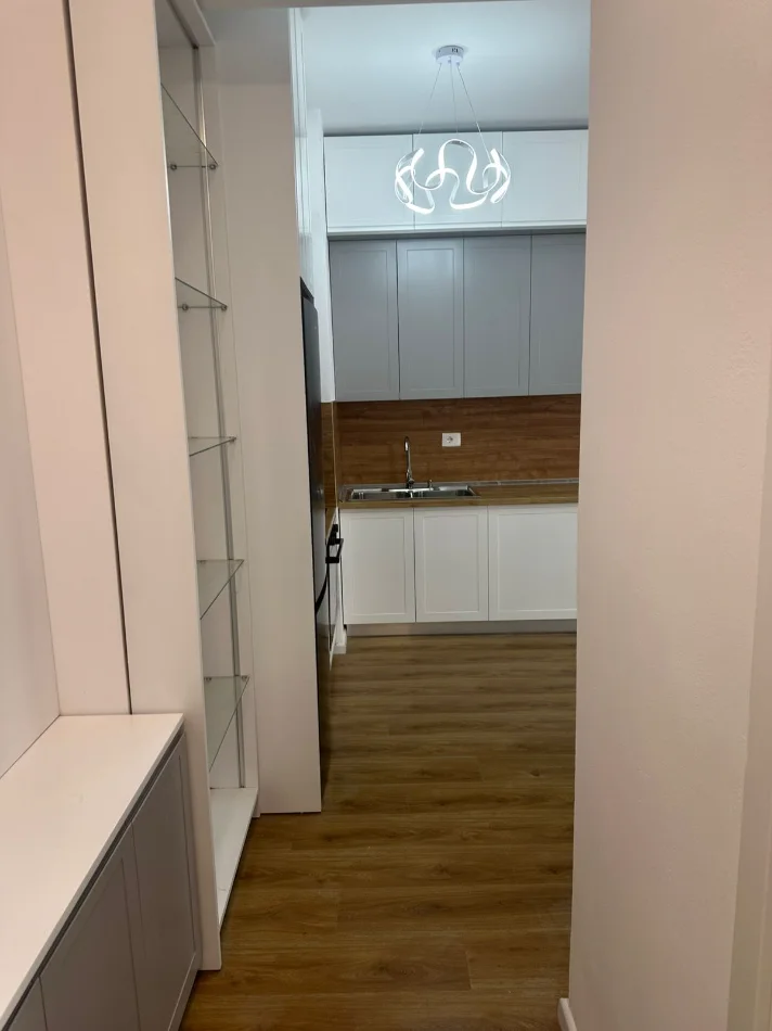 Tirane, jepet me qera apartament 1+1 Kati 7, 60 m² 420 € (Ali Demi)