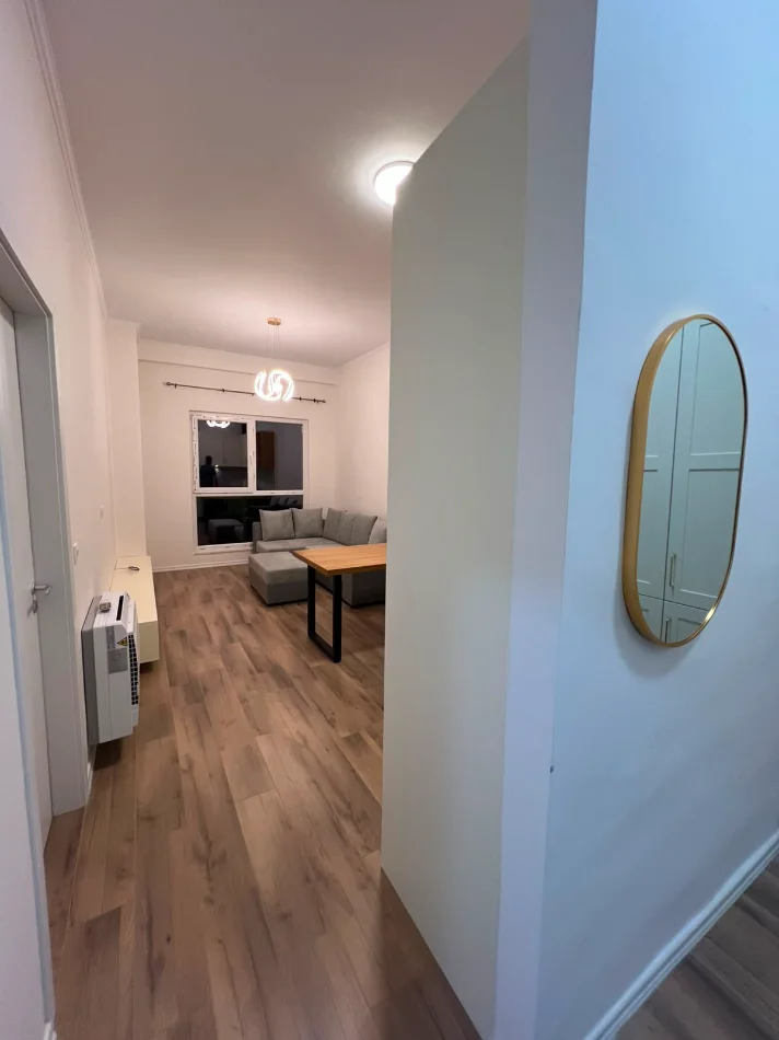 Tirane, jepet me qera apartament 1+1 Kati 5, 580 € (Laprake)