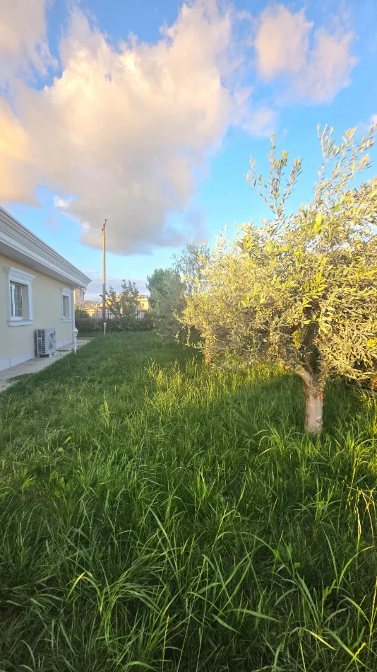 Kavaje, shitet Vile 3+1+Aneks+Ballkon Kati 1, 735 m² 310.000 € (Kavaje)