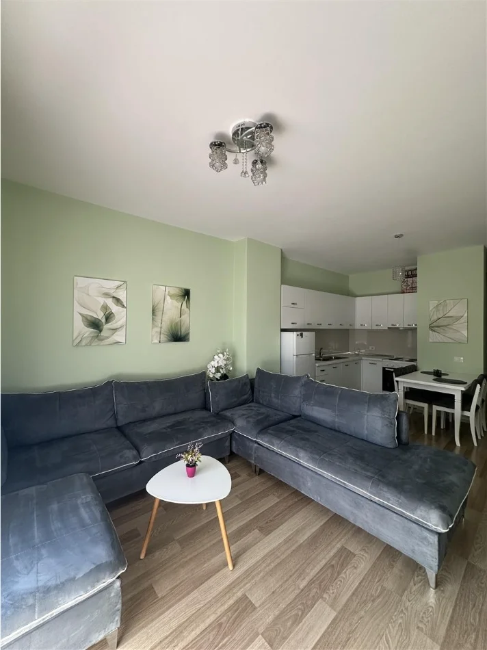 Tirane, jap me qera apartament 1+1 Kati 3, 66 m² 700 € 