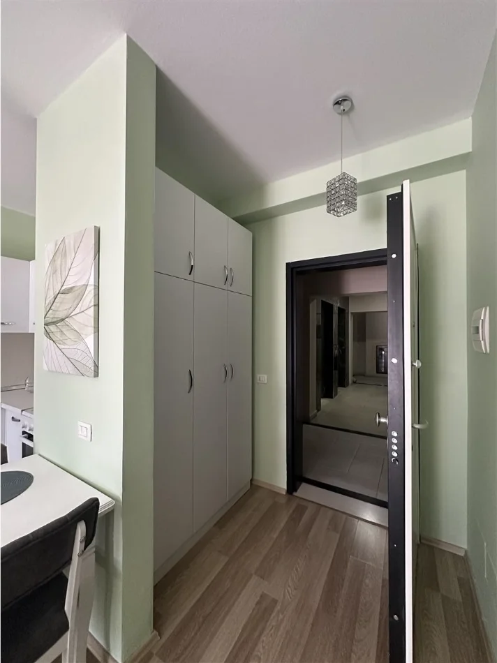 Tirane, jap me qera apartament 1+1 Kati 3, 66 m² 700 € 