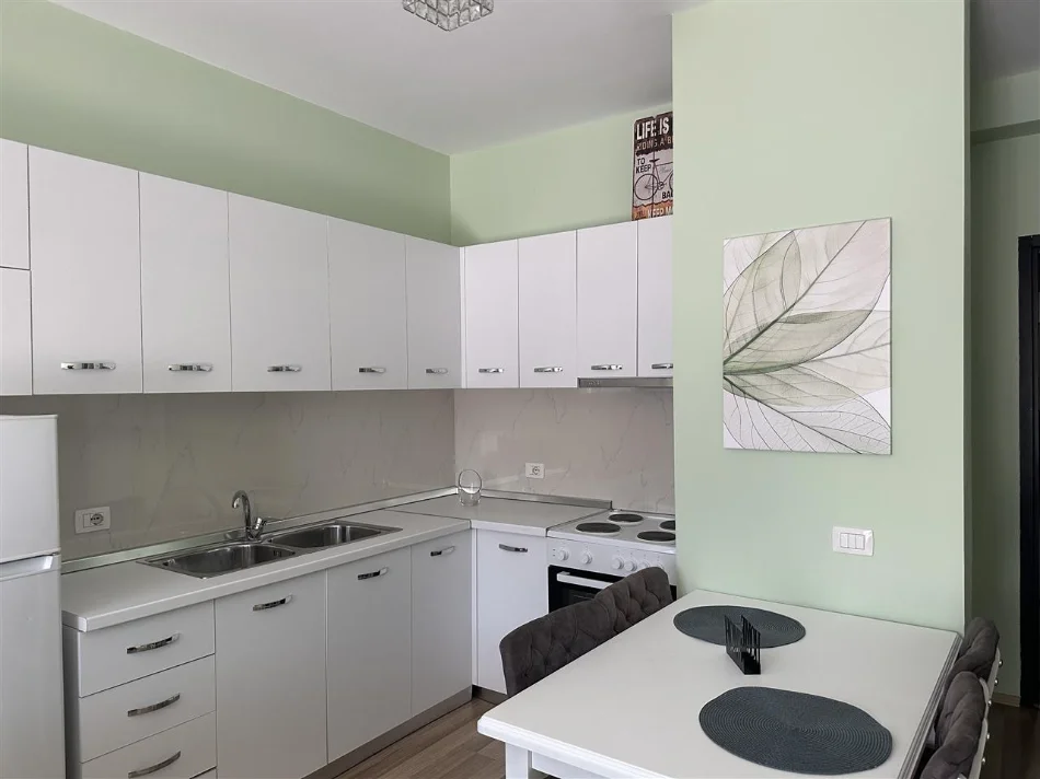 Tirane, jap me qera apartament 1+1 Kati 3, 66 m² 700 € 