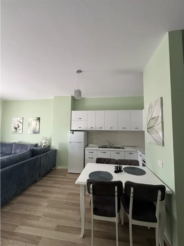 Tirane, jap me qera apartament 1+1 Kati 3, 66 m² 700 € 